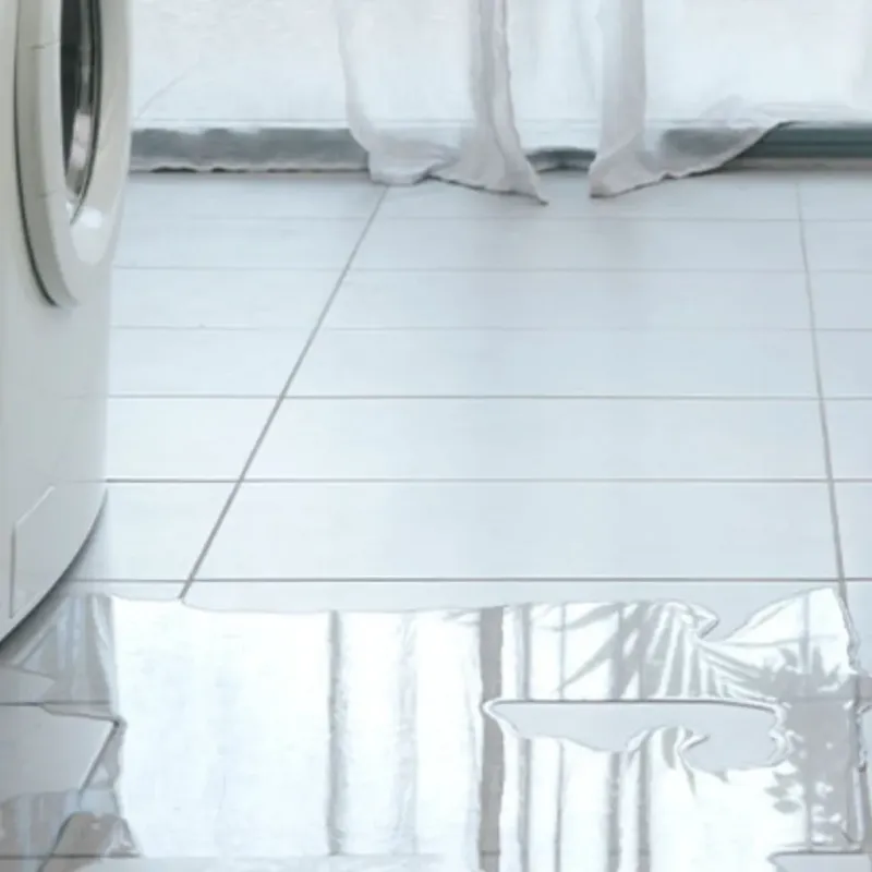 Appliance Leak Cleanup in Lansing, NY