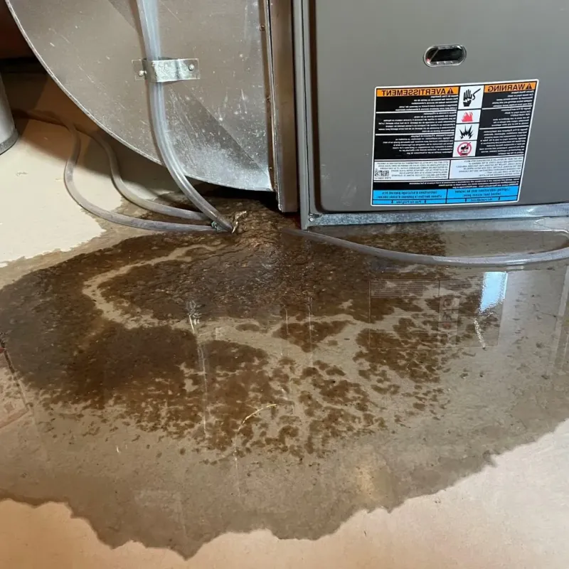 Pipe Burst and Leak Restoration in Lansing, NY